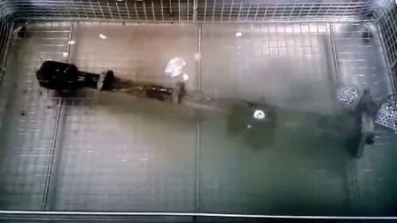 Temporizador digital con calentador, acero inoxidable, industrial, piezas automotrices, limpiador ultrasónico Jp-480st