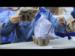 La joyería CD portátil del equipo de limpieza ultrasónica 750ml da fruto mini 35W JP-900S